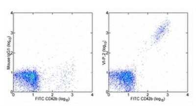 Flow Cytometry: Integrin beta 3/CD61 Antibody (VI-PL2) [NBP1-43394] - Staining of normal human peripheral blood platelets with 0.06 ug of Mouse IgG1 kappa Isotype Control Purified (NBP1-43319) (left) or 0.06 ug of Anti-Human CD61 (Integrin beta 3)Purified (right) followed by 'F(ab')2 Anti-Mouse IgG PE followed by Anti-Human CD42b FITC.