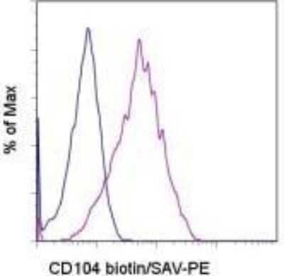 Flow Cytometry: Integrin beta 4/CD104 Antibody (439-9B) [Biotin] [NBP1-43599] - Staining of the A549 cell line with 0.125 ug of Rat IgG2b k Isotype Control Biotin (open histogram) or 0.125 ug of Anti-Human CD104 (Integrin BETA 4) Biotin (filled histogram) followed by Streptavidin PE. Total viable cells were used for analysis.