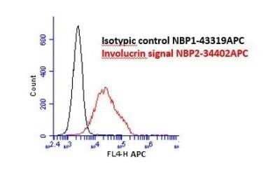 Flow Cytometry: Involucrin Antibody (SPM259) - Azide and BSA Free [NBP2-34402] - Human keratinocytes. Image from verified customer review.