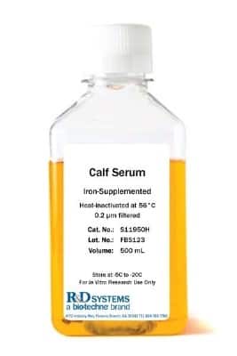 Serum: Iron-Supplemented Calf Serum, Heat Inactivated [S11950H-NOV] - Iron-Supplemented Calf Serum (ISCS), Heat Inactivated is supplemented with ferric salt, enabling this serum to bind from three to four times the iron of Fetal Bovine Serum.