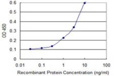 Sandwich ELISA: Islet-1 Antibody (4A7) [H00003670-M02] - Detection limit for recombinant GST tagged ISL1 is 0.1 ng/ml as a capture antibody.