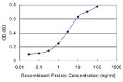 Sandwich ELISA: Islet-1 Antibody (8A3) [H00003670-M03] - Detection limit for recombinant GST tagged ISL1 is 0.1 ng/ml as a capture antibody.