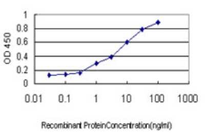 Sandwich ELISA: Isopeptidase T/USP5 Antibody (2C8) [H00008078-M01] - Detection limit for recombinant GST tagged USP5 is approximately 0.03ng/ml as a capture antibody.