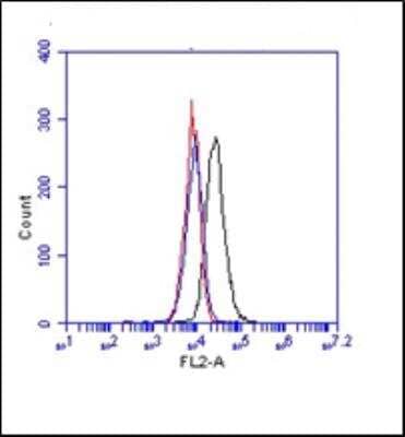 Flow Cytometry: JAM-C Antibody (19H36) [NBP3-11220] - Analysis of JAM-C in bEnd3 cells.