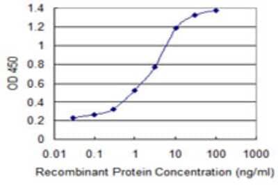 Sandwich ELISA: JMJD1C Antibody (3A8) [H00221037-M02] - Detection limit for recombinant GST tagged JMJD1C is 0.03 ng/ml as a capture antibody.