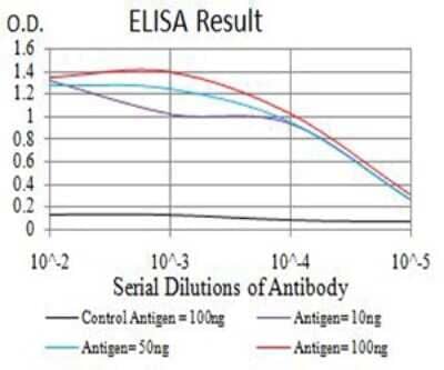 ELISA: JMJD2B Antibody (3A6H6) [NBP2-61800] - Black line: Control Antigen (100 ng);Purple line: Antigen (10ng); Blue line: Antigen (50 ng); Red line:Antigen (100 ng)