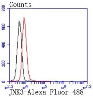 Flow Cytometry: JNK3 Antibody (SD082-09) [NBP2-67800] - Analysis of Jurkat cells with JNK3 antibody at 1/50 dilution (red) compared with an unlabelled control (cells without incubation with primary antibody; black). Alexa Fluor 488-conjugated goat anti rabbit IgG was used as the secondary antibody.