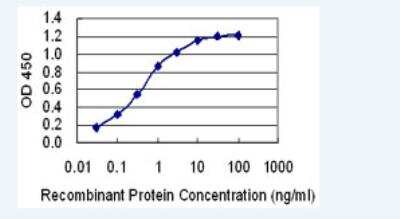 ELISA: JSRP1 Antibody (6A9) [H00126306-M02-100ug] - Detection limit for recombinant GST tagged JSRP1 is 0.03 ng/ml as a capture antibody.