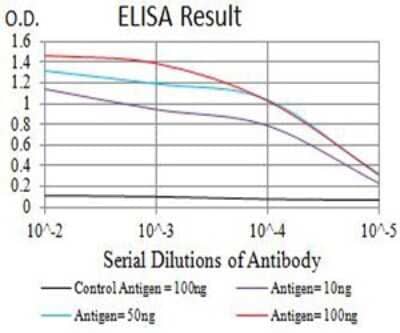 ELISA: KA2/GRIK5/Glutamate Receptor KA2 Antibody (4G5H8) [NBP2-61804] - Black line: Control Antigen (100 ng);Purple line: Antigen (10ng); Blue line: Antigen (50 ng); Red line:Antigen (100 ng)