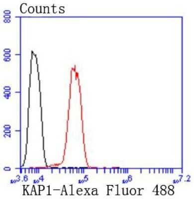 Flow Cytometry: KAP1 Antibody (SD081-05) [NBP2-67786] - Analysis of Hela cells with KAP1 antibody at 1/50 dilution (red) compared with an unlabelled control (cells without incubation with primary antibody; black). Alexa Fluor 488-conjugated goat anti rabbit IgG was used as the secondary antibody.