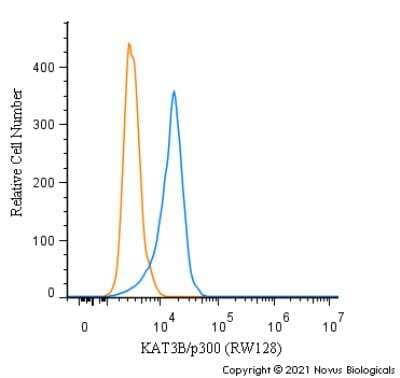 Flow Cytometry: KAT3B/p300 Antibody (RW128) - Azide and BSA Free [NBP2-80819] - An intracellular stain was performed on Raw264.7 cells with KAT3B/p300 Antibody (RW128) NBP2-80819 (blue) and a matched isotype control (orange). Cells were fixed with 4% PFA and then permeabilized with 0.1% saponin. Cells were incubated in an antibody dilution of 1.0 ug/mL for 30 minutes at room temperature, followed by Mouse IgG (H+L) Cross-Adsorbed Secondary Antibody, Dylight 550 (35503, Thermo Fisher).