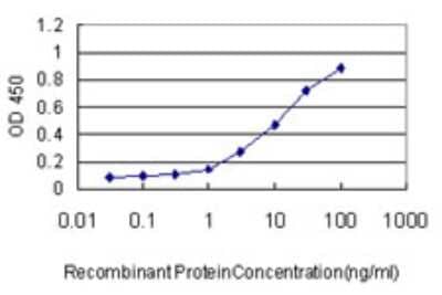 Sandwich ELISA: KAT4/TBP Associated Factor 1 Antibody (1E11) [H00006872-M01] - Detection limit for recombinant GST tagged TAF1 is approximately 0.1ng/ml as a capture antibody.