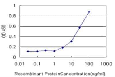 ELISA: KCNE1 Antibody (2A6) [H00003753-M13] - Detection limit for recombinant GST tagged KCNE1 is approximately 3ng/ml as a capture antibody.