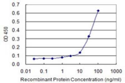 Sandwich ELISA: KCNK5 Antibody (2B4) [H00008645-M05] - Detection limit for recombinant GST tagged KCNK5 is 1 ng/ml as a capture antibody.