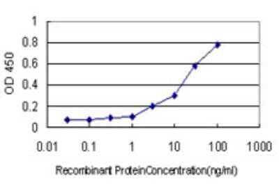 Sandwich ELISA: KCNMB4 Antibody (1G7) [H00027345-M01] - Detection limit for recombinant GST tagged KCNMB4 is approximately 0.3ng/ml as a capture antibody.