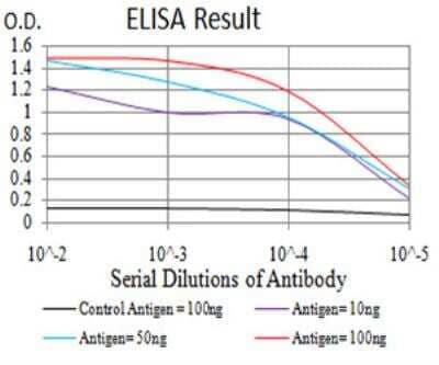 ELISA: KDM2B Antibody (6F6G11) [NBP2-52467] - Black line: Control Antigen (100 ng); Purple line: Antigen(10ng); Blue line: Antigen (50 ng); Red line: Antigen (100 ng).