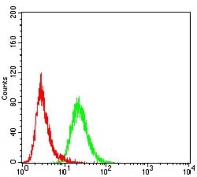 Flow Cytometry: KDM2B Antibody (6F6G11) [NBP2-52467] - Analysis of HeLa cells using FBXL10 mouse mAb (green) and negative control (red).