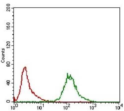 Flow Cytometry: KHDRBS2 Antibody (7G8C10) [NBP2-37254] - Flow cytometric analysis of K562 cells using KHDRBS2 mouse mAb (green) and negative control (red).