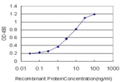 Sandwich ELISA: KHSRP Antibody (2C7) [H00008570-M02] - Detection limit for recombinant GST tagged KHSRP is approximately 0.1ng/ml as a capture antibody.