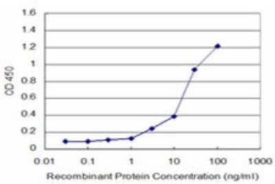 ELISA: KHSRP Antibody (2G5) [H00008570-M05] - Detection limit for recombinant GST tagged KHSRP is approximately 1ng/ml as a capture antibody.