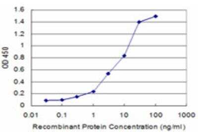 ELISA: KHSRP Antibody (4H7) [H00008570-M09] - Detection limit for recombinant GST tagged KHSRP is approximately 0.3ng/ml as a capture antibody.