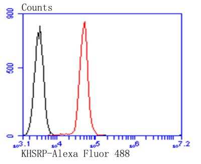 Flow Cytometry: KHSRP Antibody (A7-B0) [NBP2-76894] - Flow cytometric analysis of HT-29 cells with KHSRP antibody at 1/100 dilution (red) compared with an unlabelled control (cells without incubation with primary antibody; black). Alexa Fluor 488-conjugated goat anti-mouse IgG was used as the secondary antibody.