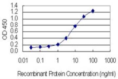 ELISA: KIF17 Antibody (7C6) [H00057576-M04-100ug] - Detection limit for recombinant GST tagged KIF17 is 0.1 ng/ml as a capture antibody.