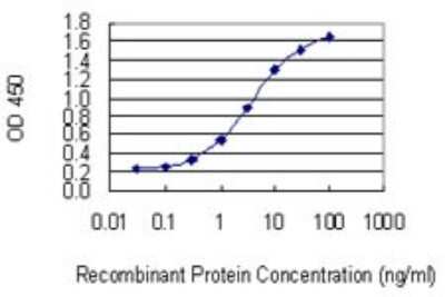 Sandwich ELISA: KIF1C Antibody (1F12) [H00010749-M06] - Detection limit for recombinant GST tagged KIF1C is 0.03 ng/ml as a capture antibody.