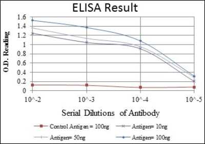 ELISA: KIF22 Antibody (5F3) [NBP2-37552] - Red: Control Antigen (100ng); Purple: Antigen (10ng); Green: Antigen (50ng); Blue: Antigen (100ng);