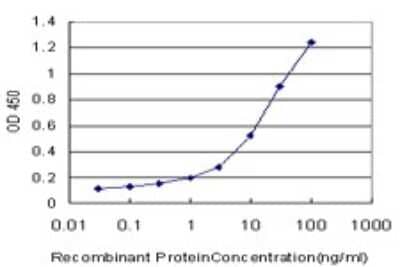 Sandwich ELISA: KIF26A Antibody (3C10) [H00026153-M01] - Detection limit for recombinant GST tagged KIF26A is approximately 0.3ng/ml as a capture antibody.