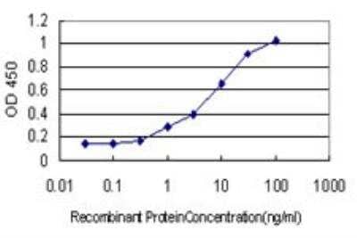 ELISA: KIFC1 Antibody (2B9) [H00003833-M01] - Detection limit for recombinant GST tagged KIFC1 is approximately 1ng/ml as a capture antibody.