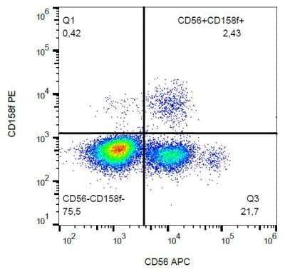 Flow (Cell Surface): KIR2DL5/CD158f Antibody (UP-R1) [NBP2-62222] - Surface staining of human peripheral blood with anti-CD158f (UP-R1) PE.