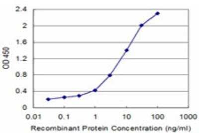 ELISA: KISS1 Antibody (1D11) [H00003814-M03] - Detection limit for recombinant GST tagged KISS1 is approximately 0.03ng/ml as a capture antibody.