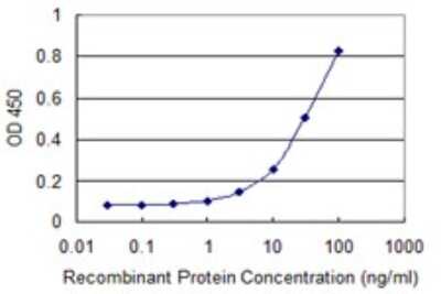 Sandwich ELISA: KLF10 Antibody (2H7) [H00007071-M20] - Detection limit for recombinant GST tagged KLF10 is 1 ng/ml as a capture antibody.