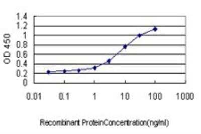 ELISA: KLF11 Antibody (8F4) [H00008462-M01] - Detection limit for recombinant GST tagged KLF11 is approximately 0.1ng/ml as a capture antibody.
