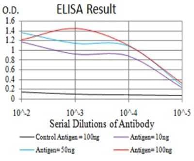 ELISA: KLF2 Antibody (2F12A11) [NBP2-61812] - Black line: Control Antigen (100 ng);Purple line: Antigen (10ng); Blue line: Antigen (50 ng); Red line:Antigen (100 ng)