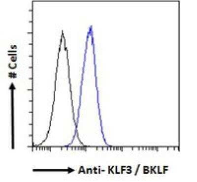 Flow Cytometry: KLF3 Antibody [NB100-1018] - Flow cytometric analysis of paraformaldehyde fixed A431 cells (blue line), permeabilized with 0.5% Triton. Primary incubation 1hr (10 ug/mL) followed by Alexa Fluor 488 secondary antibody (1 ug/mL). IgG control: Unimmunized goat IgG (black line) followed by Alexa Fluor 488 secondary antibody.