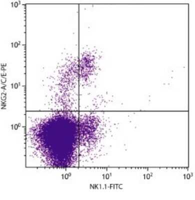 Flow Cytometry: KLRC1/2/3 Antibody (20d5) [FITC] [NBP1-28101] - Analysis of C57BL/6 splenocytes by multiple staining.