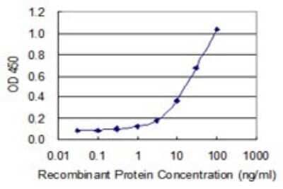 Sandwich ELISA: KLRC4 Antibody (1D10) [H00008302-M03] - Detection limit for recombinant GST tagged KLRC4 is 0.3 ng/ml as a capture antibody.