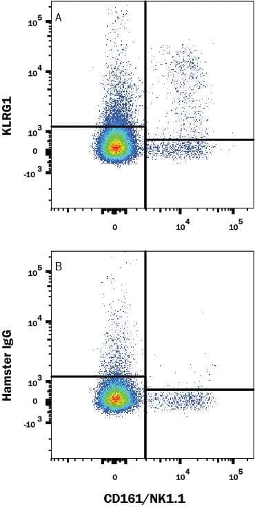 C57BL/6 mouse splenocytes were stained with Mouse Anti-Mouse CD161/NK1.1 APC-conjugated Monoclonal Antibody (Catalog # FAB8319A) and either (A) Hamster Anti-Mouse KLRG1 PE-conjugated Monoclonal Antibody (Catalog # FAB69441P) or (B) Hamster IgG Phycoerythrin Isotype Control. View our protocol for Staining Membrane-associated Proteins.
