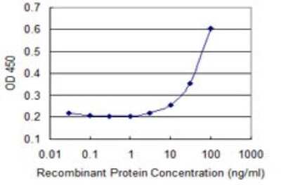 ELISA: KRAS Antibody (1E4-1B10) [H00003845-M05] - Detection limit for recombinant GST tagged KRAS is 3 ng/ml as a capture antibody.