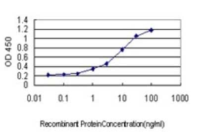 Sandwich ELISA: Kaiso Antibody (2B2) [H00010009-M01] - Detection limit for recombinant GST tagged ZBTB33 is approximately 0.1ng/ml as a capture antibody.