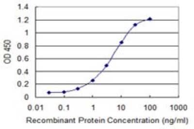 Sandwich ELISA: Kaiso Antibody (3A8) [H00010009-M02] - Detection limit for recombinant GST tagged ZBTB33 is 0.1 ng/ml as a capture antibody.