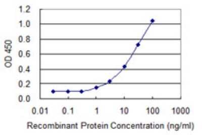 Sandwich ELISA: Kallikrein 5 Antibody (3H3) [H00025818-M01] - Detection limit for recombinant GST tagged KLK5 is 0.3 ng/ml as a capture antibody.