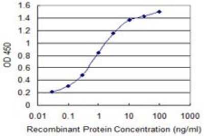 ELISA: Kappa Light Chain Antibody (1F6) [H00003514-M06] - Detection limit for recombinant GST tagged IGKC is 0.03 ng/ml as a capture antibody.