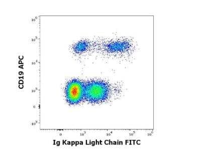 Flow Cytometry: Kappa Light Chain Antibody (A8B5) [FITC] [NBP1-45065] - Multicolor surface staining of human lymphocytes stained using anti-human Ig kappa light chain (A8B5) FITC antibody (20 ul reagent / 100 ul of peripheral whole blood) and anti-human CD19 (LT19) APC antibody (10 ul reagent / 100 ul of peripheral whole blood). 