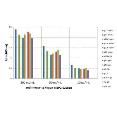 ELISA: Kappa Light Chain Antibody (RM103) [Unconjugated] [NBP2-62003] - ELISA of mouse immunoglobulins shows NBP2-62003 reacts to the kappa light chain of mouse immunoglobulins. No cross reactivity with the lambda light chain, human IgG (kappa+lambda), rat IgG (kappa+lambda), or goat IgG (kappa+lambda). The plate was coated with different immunoglobulins.NBP2-62003 was used as the primary antibody. An alkaline phosphatase conjugated anti-rabbit IgG as the secondary antibody.