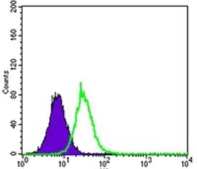 Flow Cytometry: Keap1 Antibody (1F10B6) [NBP2-37433] - Analysis of HepG2 cells using KEAP1 mouse mAb (green) and negative control (purple).