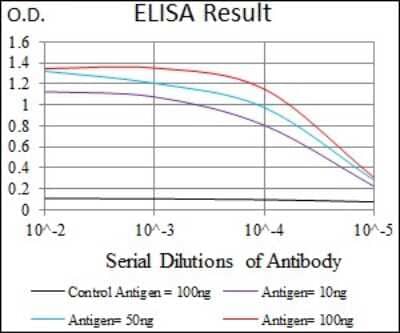 ELISA: Keap1 Antibody (7G4B10) [NBP2-37431] - Red: Control Antigen (100ng); Purple: Antigen (10ng); Green: Antigen (50ng); Blue: Antigen (100ng);