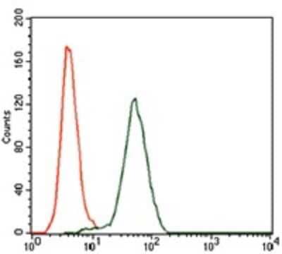 Flow Cytometry: Keap1 Antibody (7G4B10) [NBP2-37431] - Analysis of HeLa cells using KEAP1 mouse mAb (green) and negative control (red).